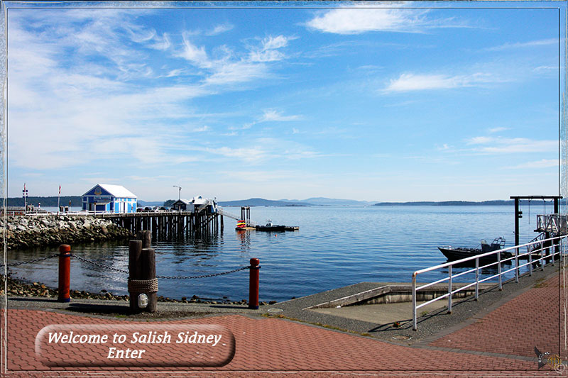 Salish Sidney Website Entrance